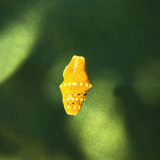 Mustard yellow seahorse charm