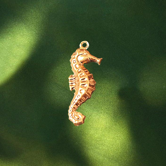 Seahorse