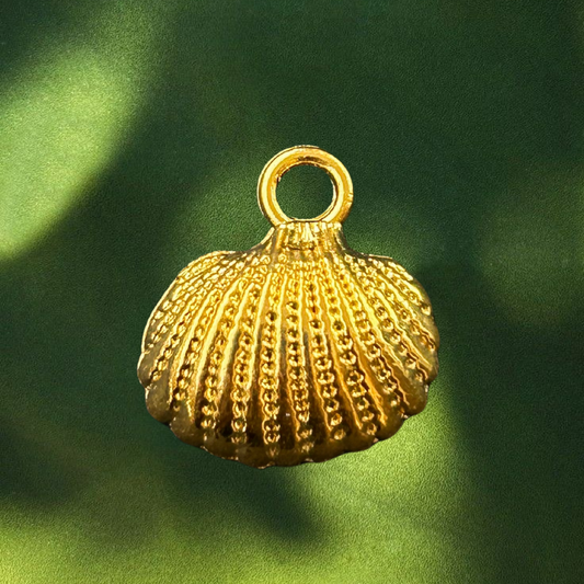 Shell